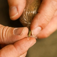 OMC Meta Solid PVA Bag Stems